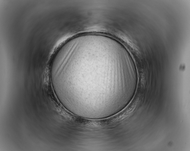 X0000098121358200804181508