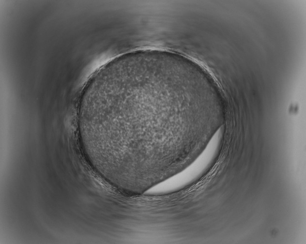 X0000098121359200804181508