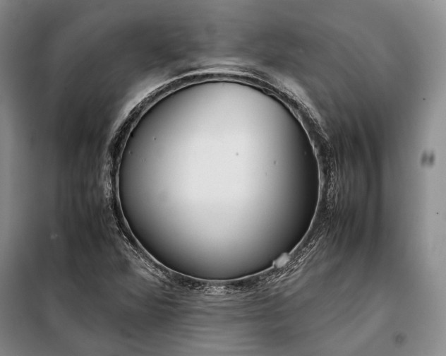 X0000098121360200804181508