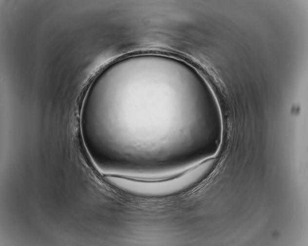 X0000098121363200804181508
