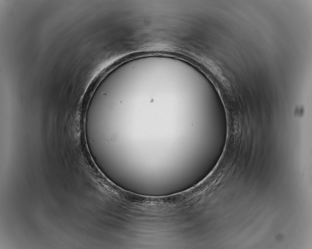 X0000098121364200804181508