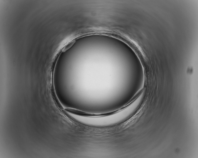 X0000098121365200804181508
