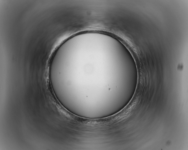 X0000098121366200804181508