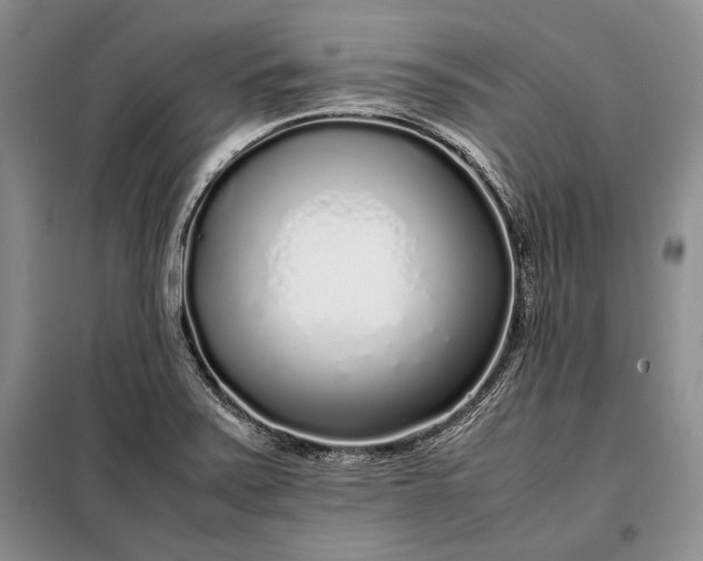 X0000098121371200804181508