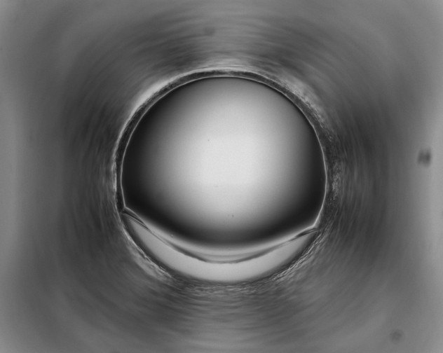 X0000098121372200804181508