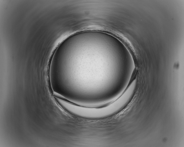 X0000098121373200804181508