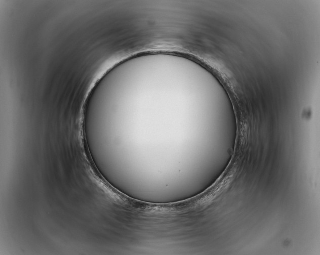 X0000098121374200804181508