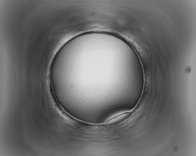 X0000098121375200804181508