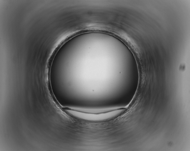 X0000098121376200804181508