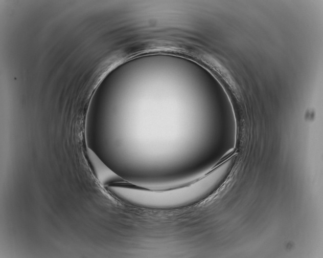 X0000098121377200804181508