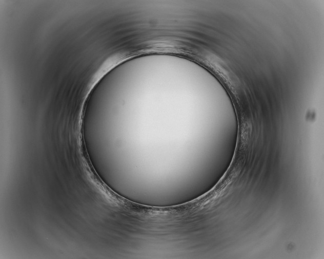 X0000098121378200804181508