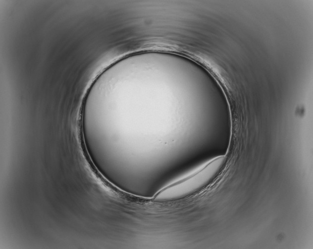 X0000098121379200804181508