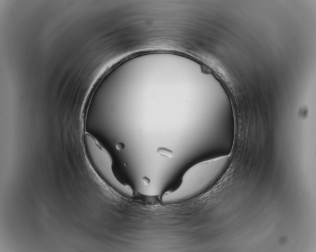 X0000098121380200804181508