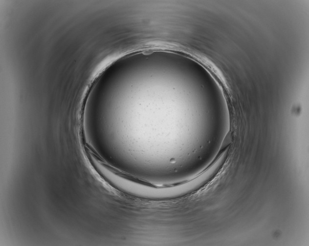 X0000098121381200804181508