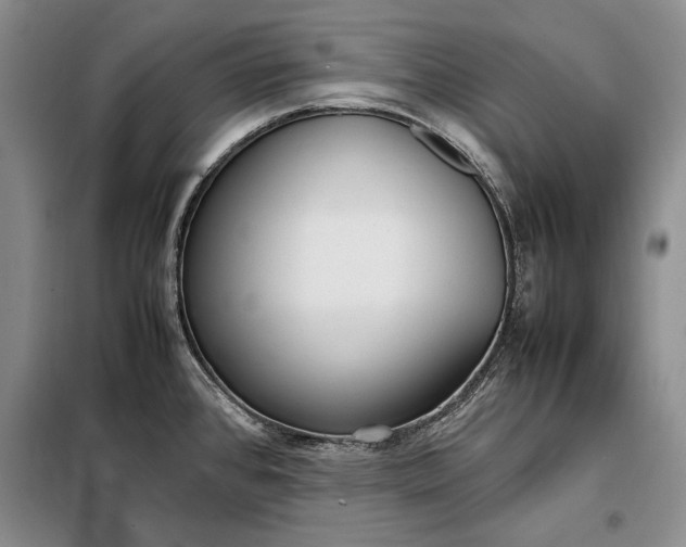 X0000098121384200804181508