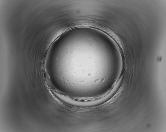 X0000098121385200804181508