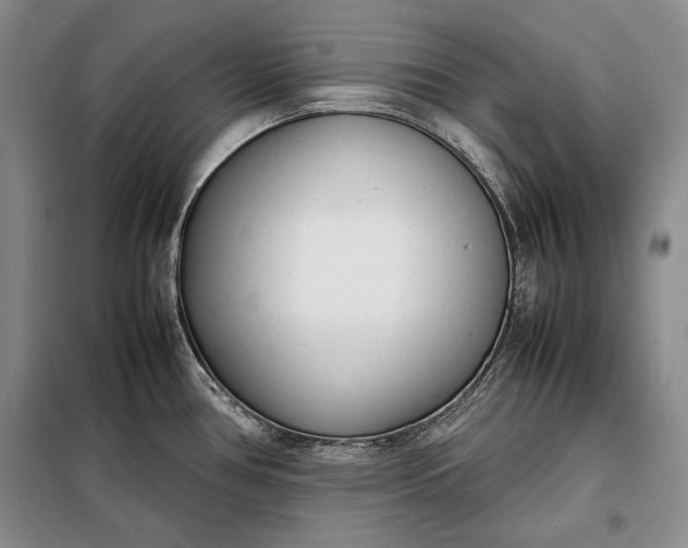 X0000098121386200804181508