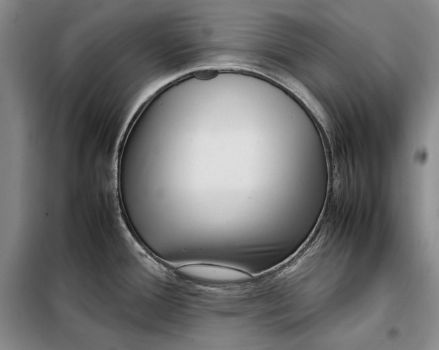 X0000098121388200804181508