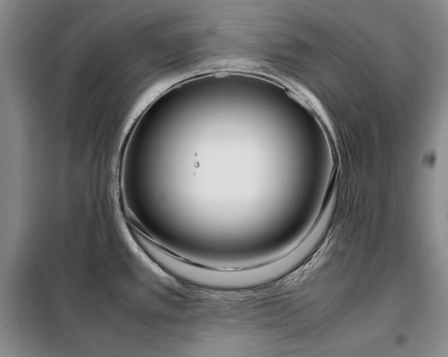X0000098121389200804181508