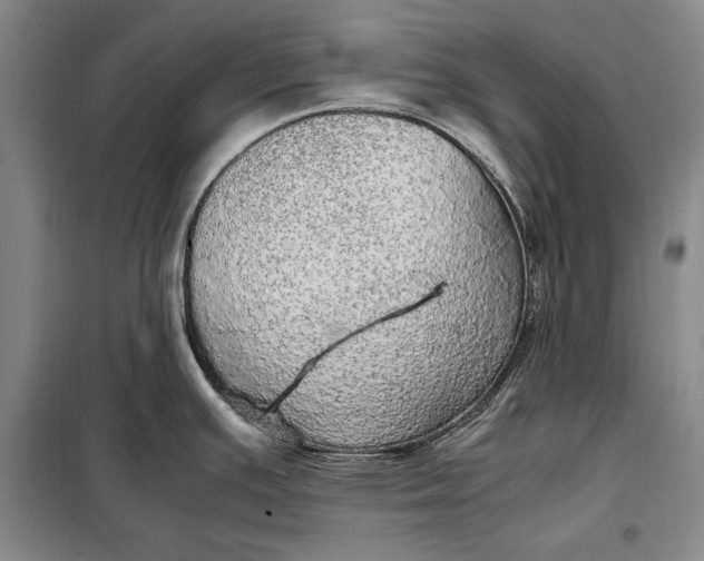 X0000098121391200804181508