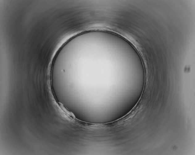 X0000098121392200804181508
