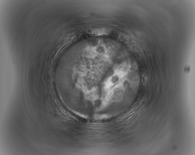 X0000098121393200804181507