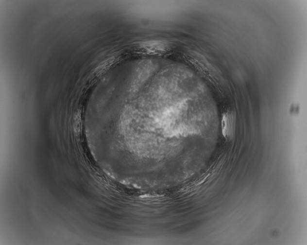 X0000098121395200804181507
