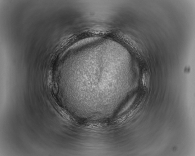 X0000098121396200804181507