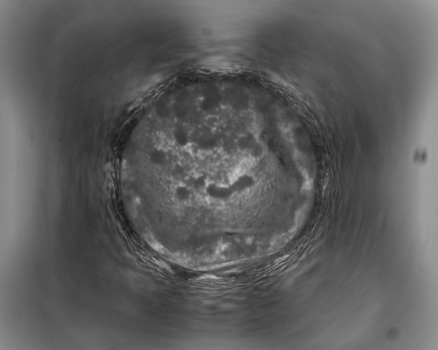 X0000098121397200804181507