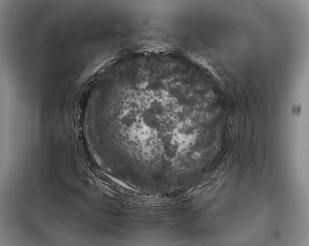X0000098121399200804181507
