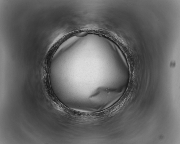 X0000098121400200804181507
