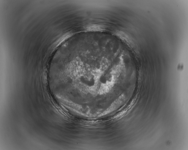 X0000098121401200804181507