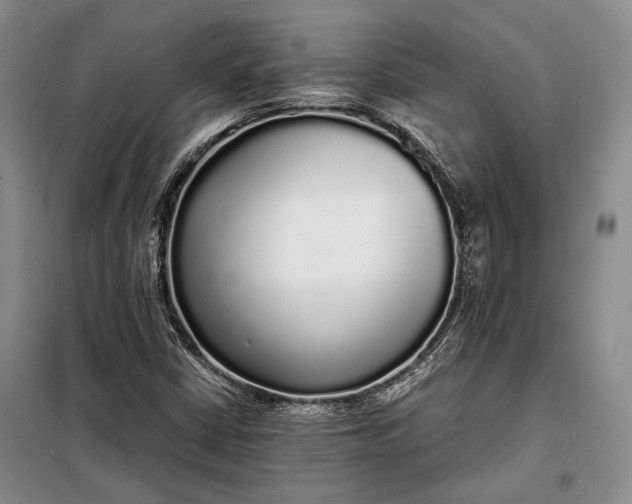 X0000098121402200804181507