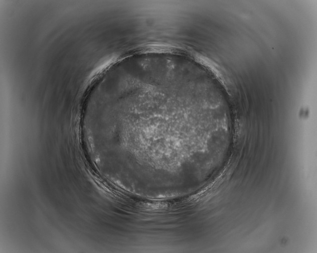 X0000098121403200804181507