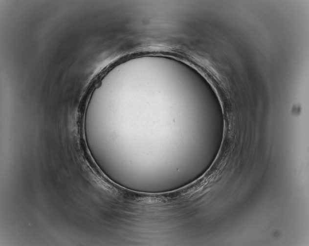 X0000098121404200804181507