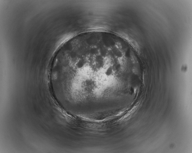 X0000098121405200804181507