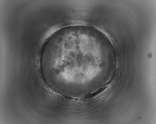 X0000098121407200804181507