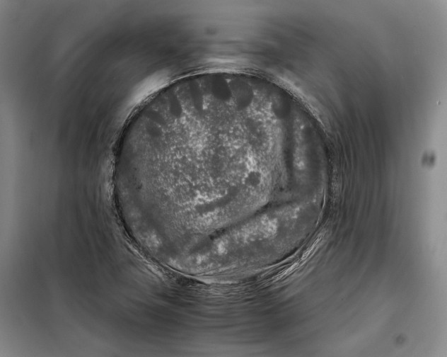 X0000098121411200804181508