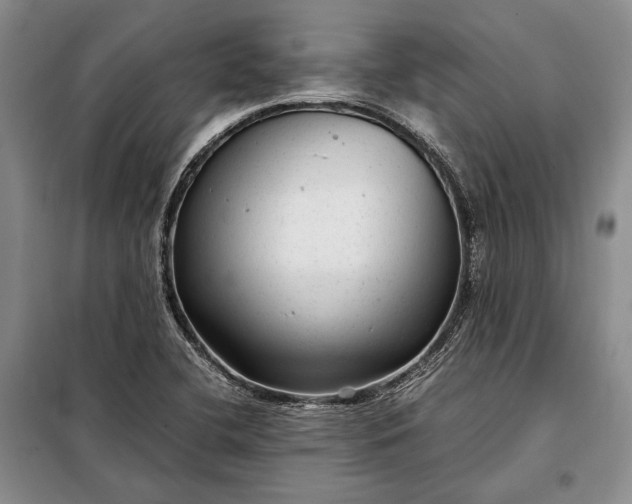 X0000098121412200804181508