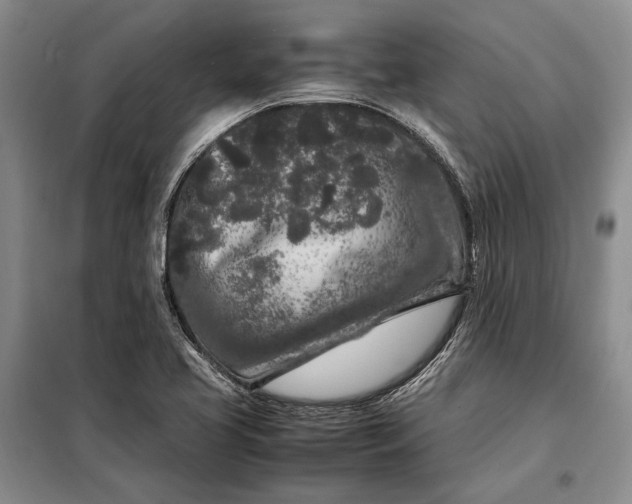 X0000098121413200804181508