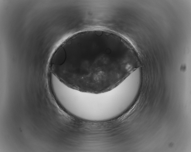 X0000098121414200804181508