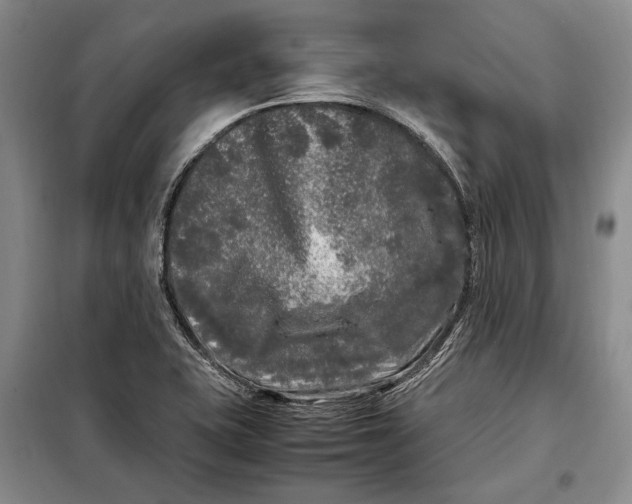 X0000098121415200804181508