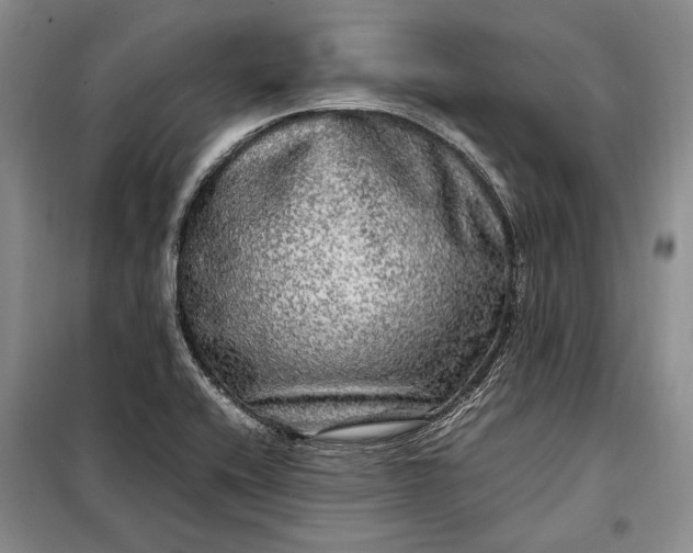 X0000098121416200804181508