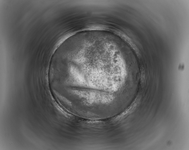 X0000098121417200804181508