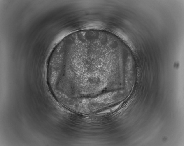 X0000098121419200804181508