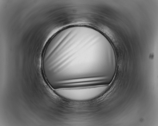 X0000098121420200804181508