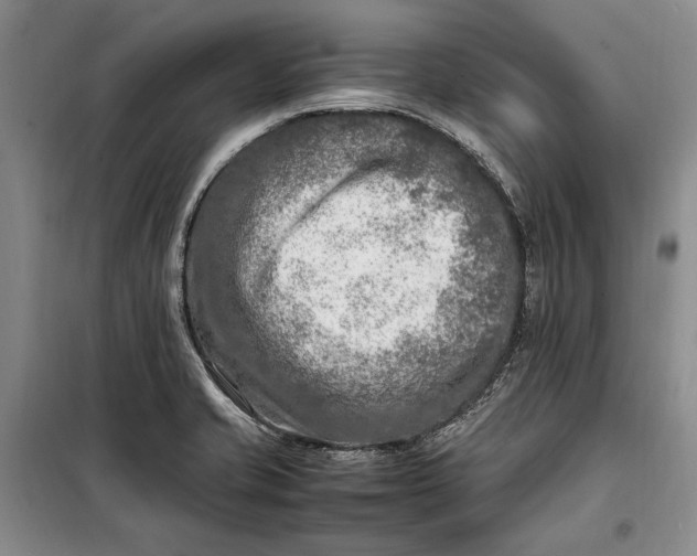 X0000098121421200804181508