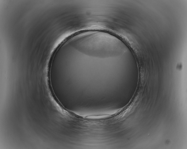 X0000098121422200804181508