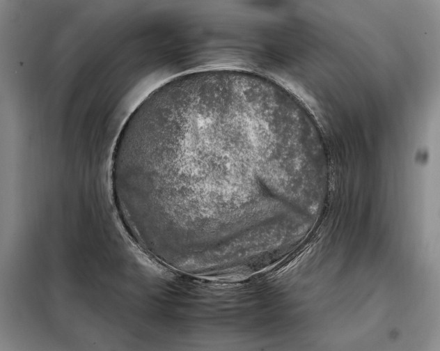 X0000098121423200804181508