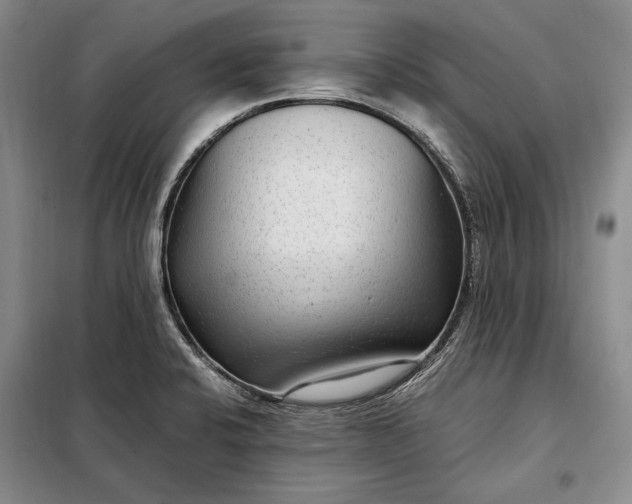 X0000098121424200804181508